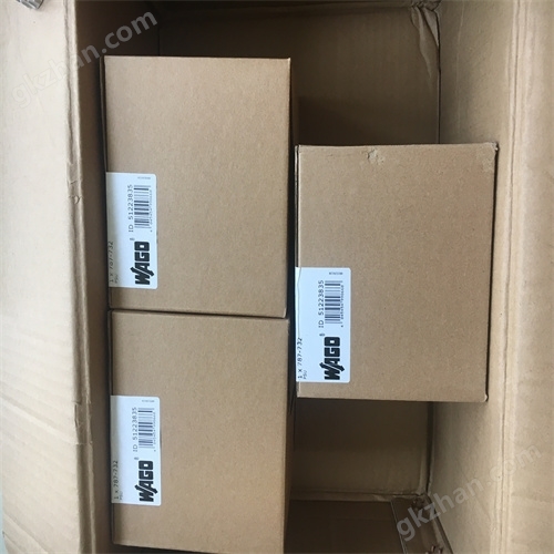 WAGO Wanke 2-channel analog input module