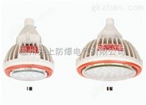 BZD118-LED30W免維護低碳照明燈（新黎明BZD118防爆LED彎桿燈）