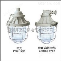 BLD55-L250W隔爆型防爆燈（北方BND55-N250W防爆高壓鈉燈）