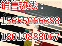 “起重機隨行電纜”
