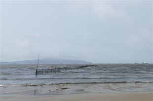 第二艘国产大型邮轮！爱达·花城号完成坞内起浮：年底交付