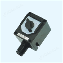 BZM8030 系列防爆防腐照明开关 (ⅡC tD)