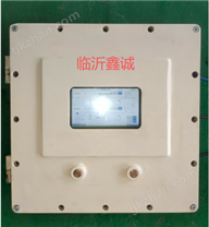 礦用隔爆兼本安型可編程控制箱