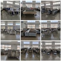 全自动果蔬气泡清洗机