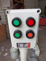 LCZ8030-B2D1防爆操作柱圖片