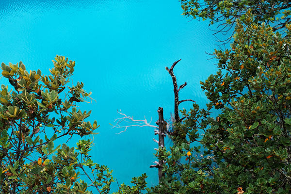 寧波奉化升級“海洋伙伴”環(huán)保艙模式 推動藍海業(yè)態(tài)發(fā)展