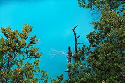 升级海洋伙伴环保舱模式 这里推动蓝海业态发展