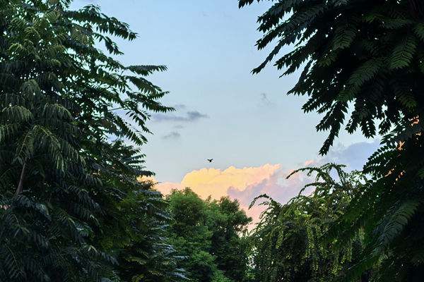 深圳新添“環(huán)保智慧哨兵”！全國首個污染源智慧監(jiān)測實驗室進入試運行