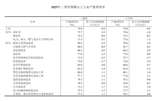 2025年二季度全国规模以上工业产能利用率为74.0%