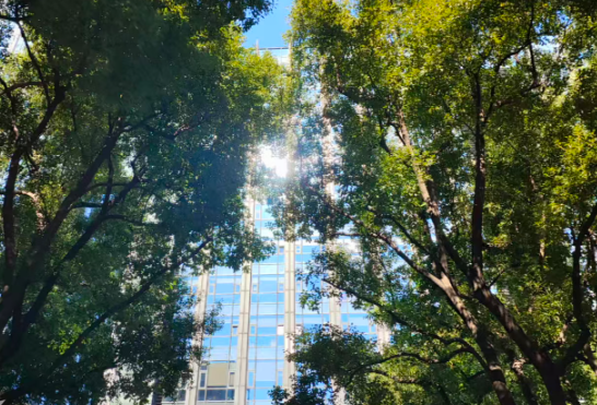 上海市召開(kāi)數(shù)據(jù)賦能高質(zhì)量發(fā)展工作會(huì)議