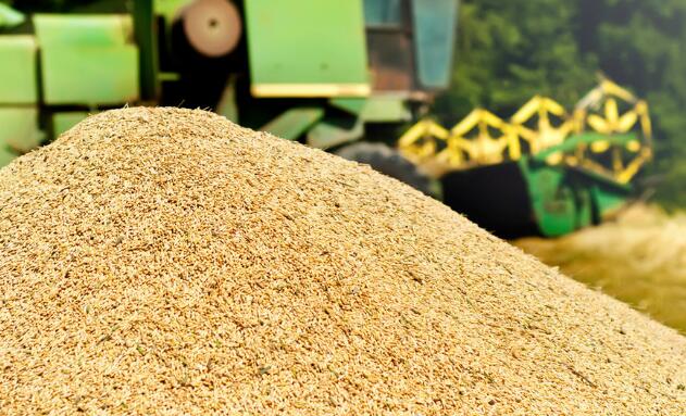 平桂举办水稻机械化烘干技术培训 力保秋粮颗粒归仓