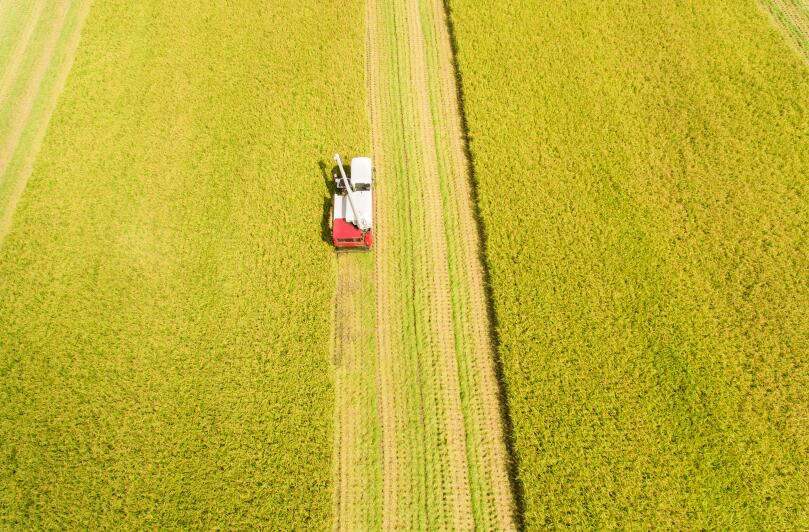 福建举办水稻机收减损大比武活动 展示一批先进适用秋收冬种农机装备