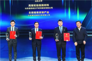 道恩DVA材料，入选山东好成果